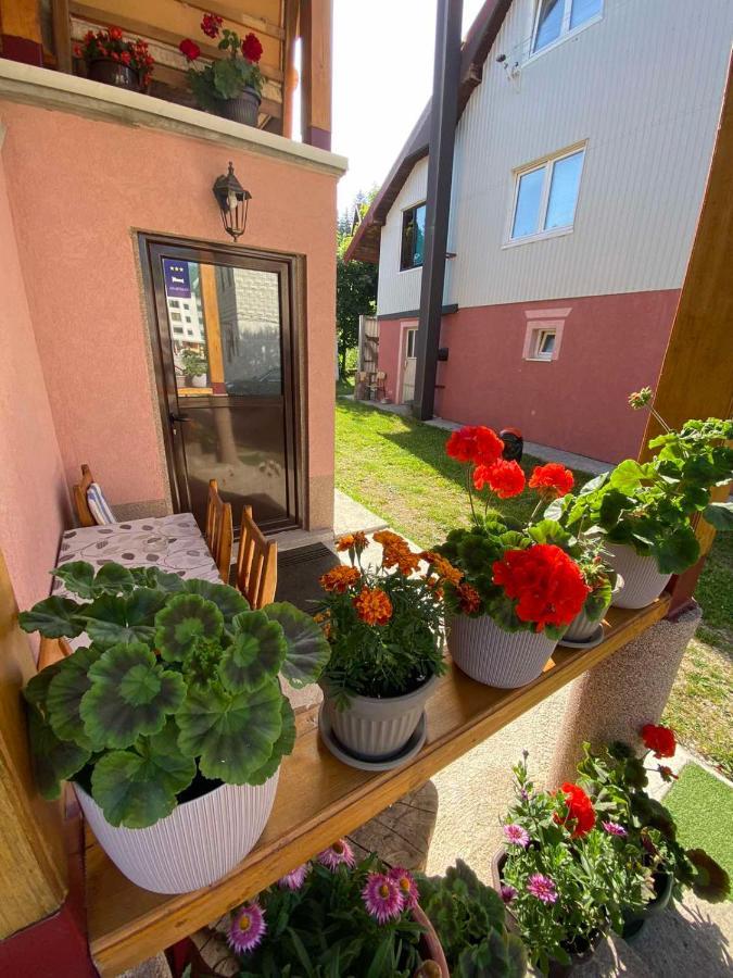 Apartman Kaljevic Appartement Žabljak Buitenkant foto